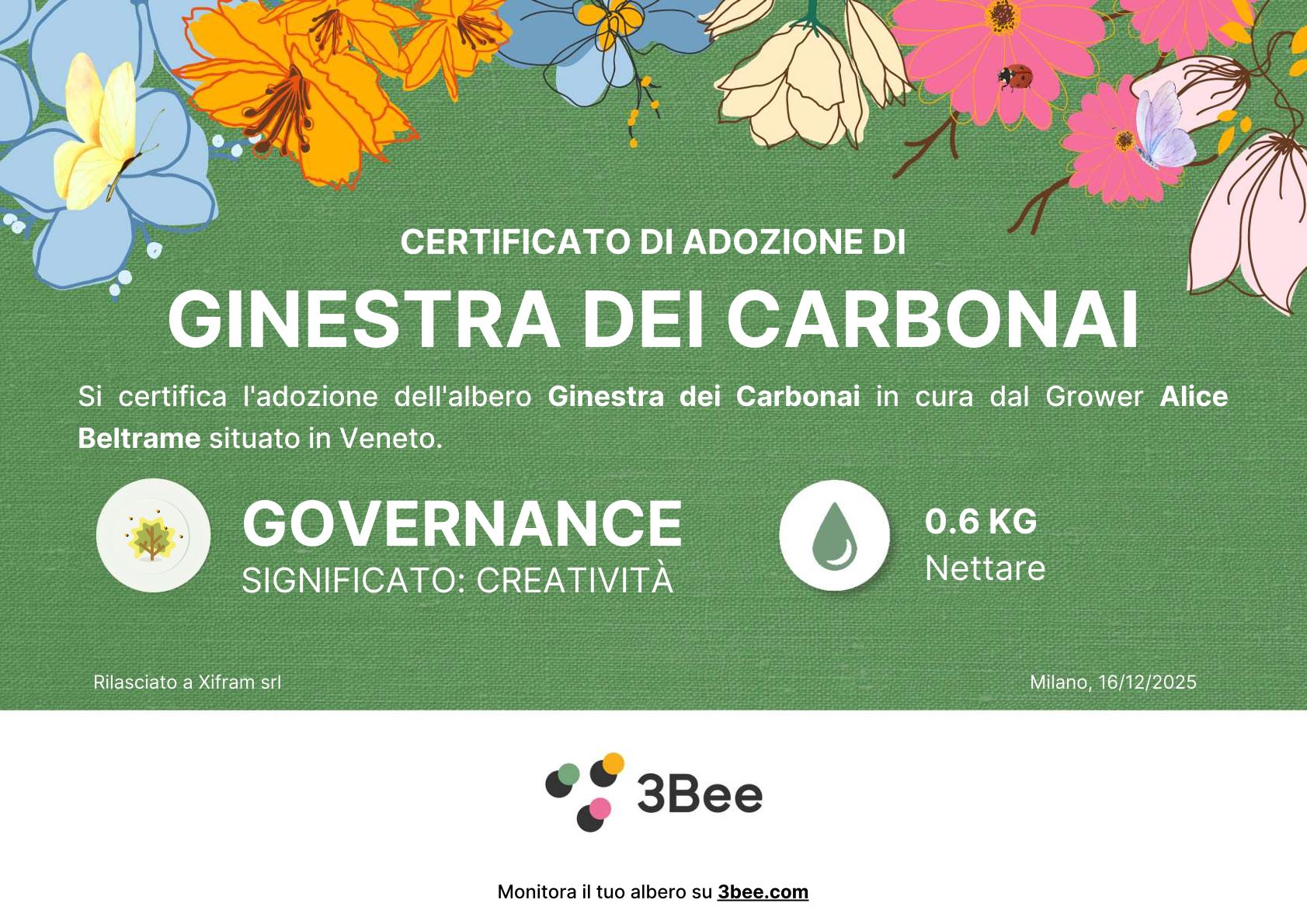 Certificato 3Bee di adozione dell'albero Ginestra dei Carbonai, Governance